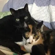 たろ ☆【プロフ確認お願いします】の画像