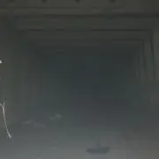 おーでぃの画像