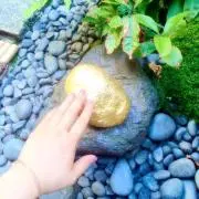 りょんの画像