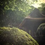 ごましおの画像