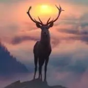 アオシカの画像