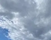 arcの画像