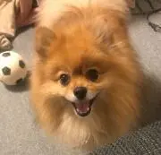 もーちゃん♡