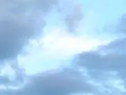 あまもの画像