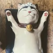 ゆっきん