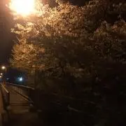 AYAの画像