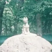 電波の画像