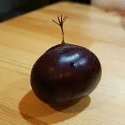栗侍.