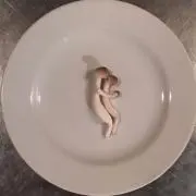 豆の画像