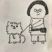 pomeの画像