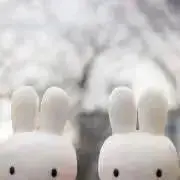 ましゅの画像