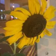 mmの画像