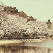こてっちゃん^ ^の画像