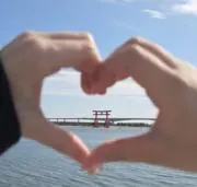 srrの画像