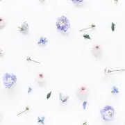 みらいの画像