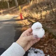 まめの画像