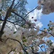muiの画像