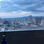 はなの画像