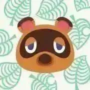 たぬきちの画像