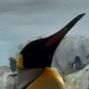 みなと