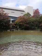 むい