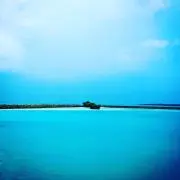 キャロット海の画像