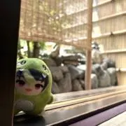 涼　プロフ必読の画像