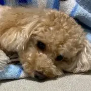 ★みつは★