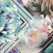 ニコニコPOOHの画像