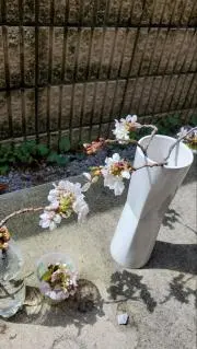 NANAの画像