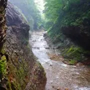 axxwの画像