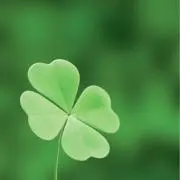 CLOVER
