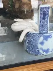 mamaꕤ︎︎プロフ必読ꕤ︎︎の画像