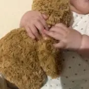 さぼにてぃの画像