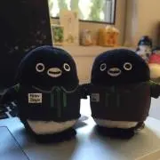 ぺりかんの画像