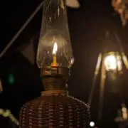 コウマの画像