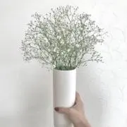 meの画像