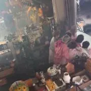 やまざくらの画像