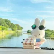 水戸うさ子ちゃん❤️の画像