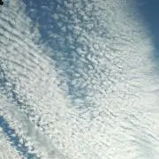 りんごといちご(*ᴗˬᴗ)の画像