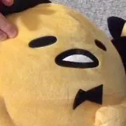 なちゃんの画像
