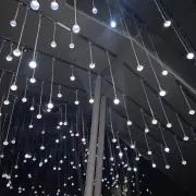 iiiiiの画像