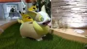 asakiの画像