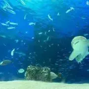 べち