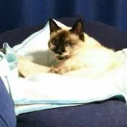ヒロ