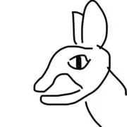 naldiiiiiの画像