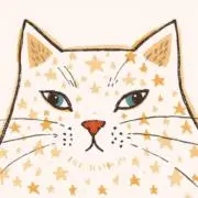 hoshi  no  hakoの画像