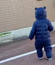 あおひよ