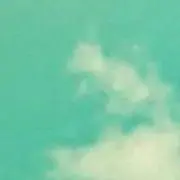sakuの画像