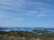 ともの画像